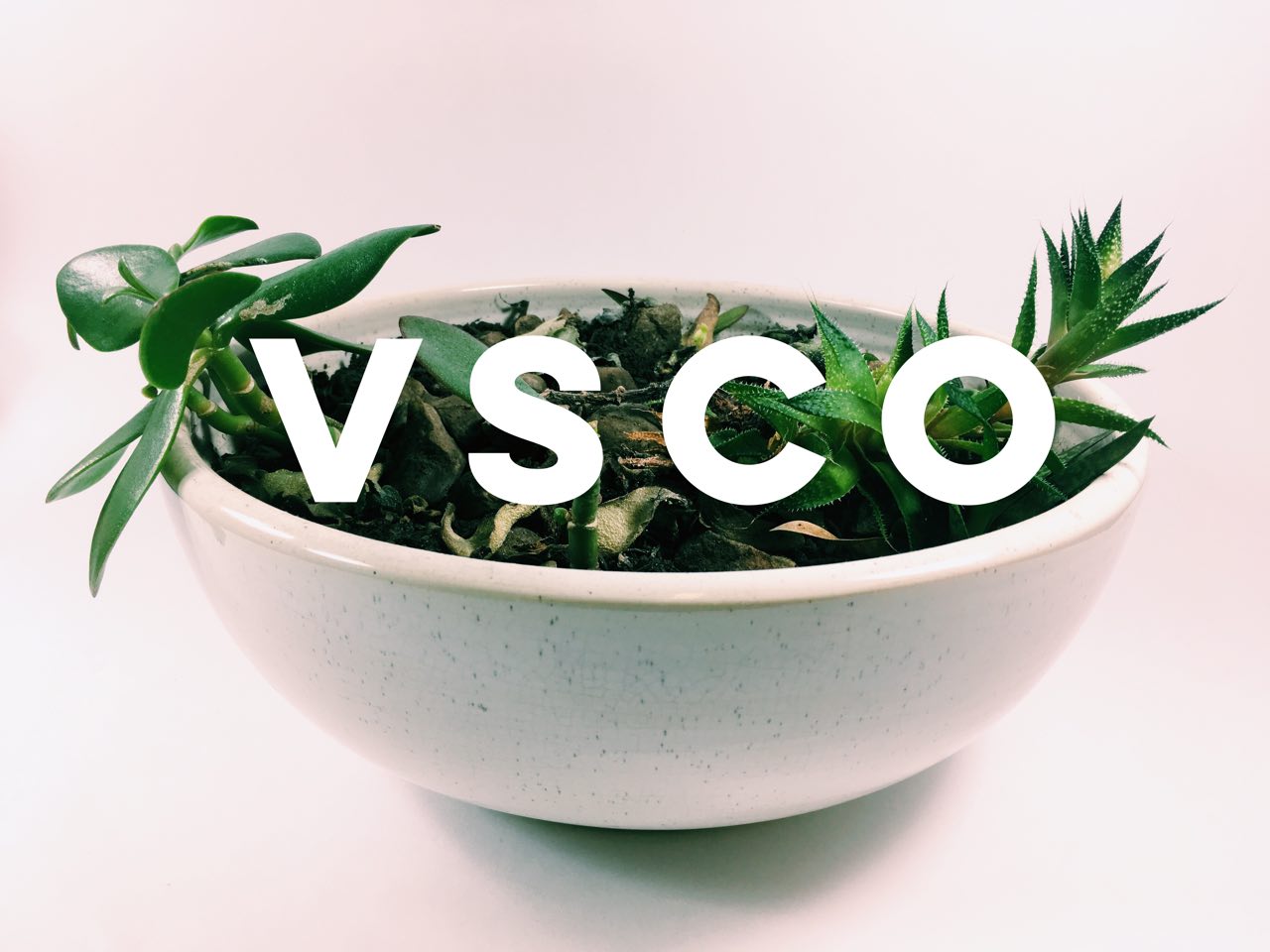 APP OF THE WEEK – VSCO